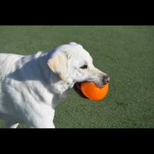 Meet your Posher, Diedre